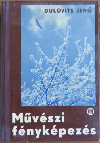 Dulovits Jen - Mvszi fnykpezs