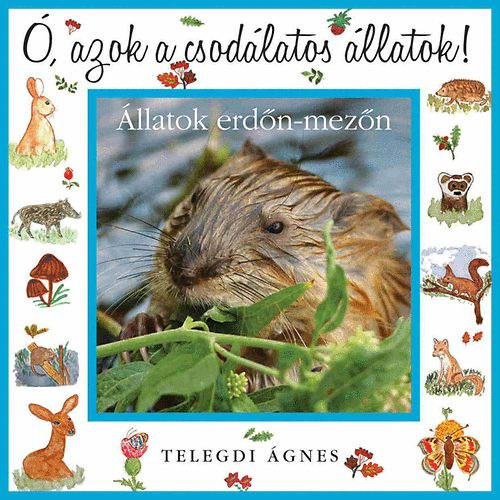 Telegdi �gnes - �, azok a csod�latos �llatok! - �llatok erd�n-mez�n