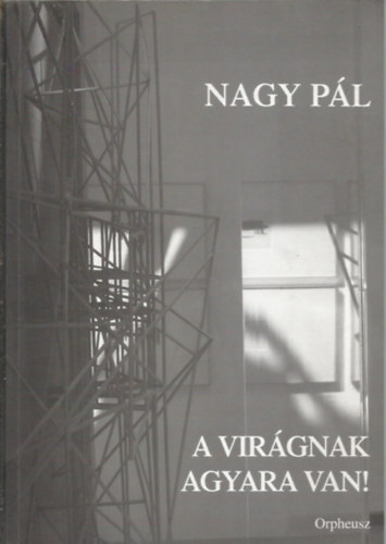 Nagy P�l - A vir�gnak - agyara van! - Tanulm�nyok az avantg�rdr�l