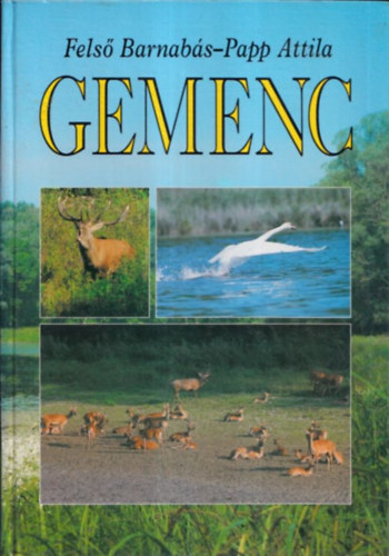 Fels� Barnab�s; Papp Attila - Gemenc