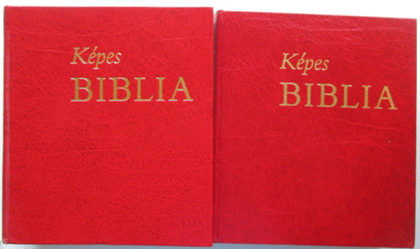 Zs�dely Gyula  (szerk.) - K�pes Biblia I-II. k�tet