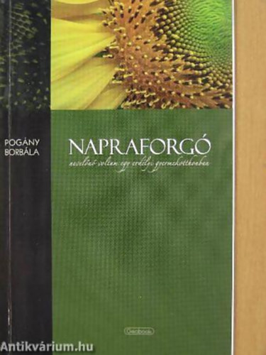 Pog�ny Borb�la - Napraforg� - nevel�n� voltam egy erd�lyi gyermekotthonban