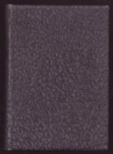 V. Blasco Ibanez - A megh�d�tott tenger