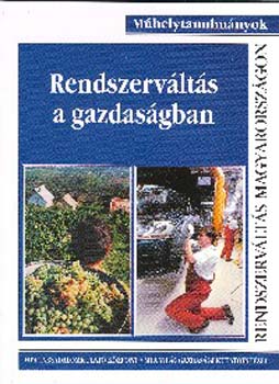 Novk, Somai, Try Bakcs - Rendszervlts a gazdasgban