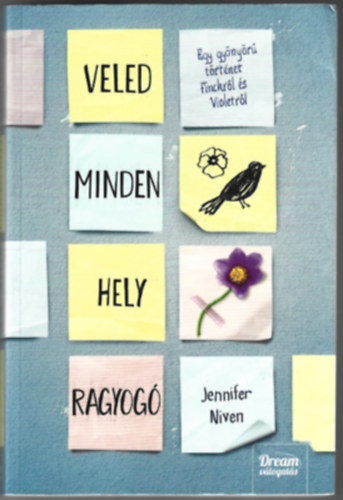 Jennifer Niven - Veled minden hely ragyog