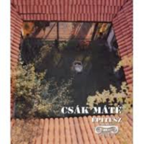Csák Ferenc (szerk.) - Csák Máté építész