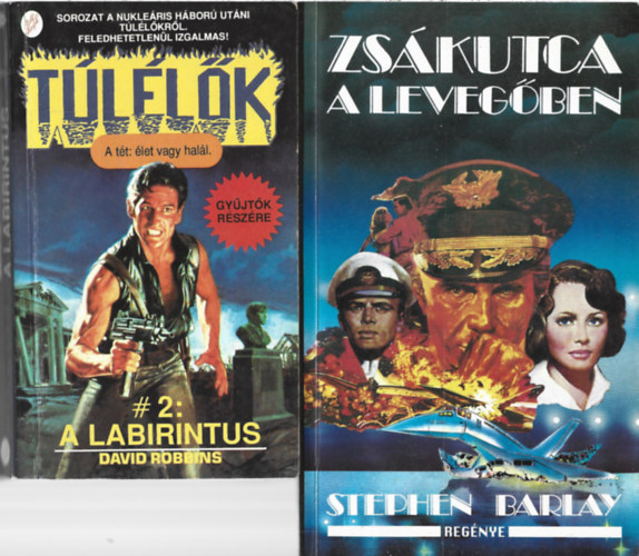 2 db könyv, David Robbins: A labirintus, Stephen Barlay: Zsákutca a levegőben