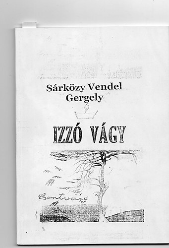 Srkzy Vendel Gergely - Izz vgy