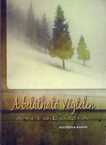 A belátható végtelen (versek, prózai írások)