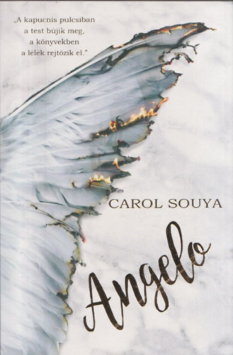 Carol Souya - Angelo