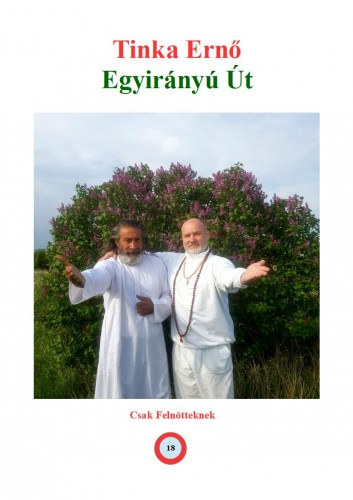Tinka Ern - Egyirny t