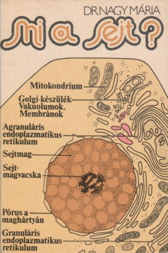 Dr. Nagy Mria - Mi a sejt?