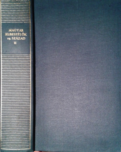 Magyar elbeszélők 19. század II.