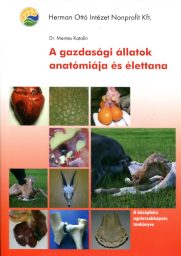 Dr. Mentes Katalin - A gazdasgi llatok anatmija s lettana