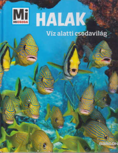 ismeretlen - Halak-Vz Alatti Csodavilg