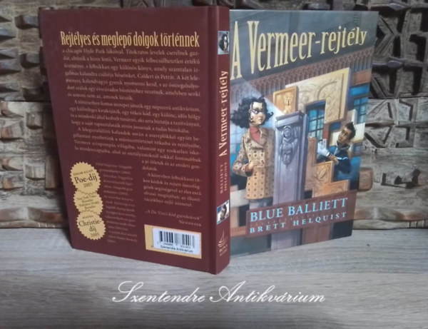 Nmeti Anita  Blue Balliett (ford.), Brett Helquist (ill.) - A Vermeer-rejtly (Chasing Vermeer) - Nmeti Anita fordtsban, Brett Helquist illusztrciival; Sajt kppel!