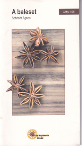 Schmidt Ágnes - A baleset