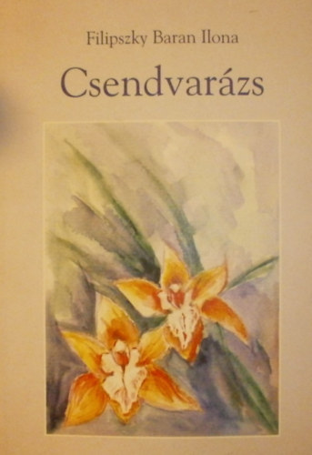 Filipszky Baran Ilona - Csendvarázs