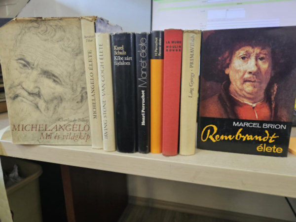 Barabás Tibor, Irving Stone, Karel Schulz, Henri Perruchot, Pierre La Mure, Láng György, Marcel Brion Charles de Tolnay - 9db művészeti kötet, KÖNYVMENTŐ AJÁNLAT: Michelangelo- Mű és világkép+ Michelangelo élete+ Van Gogh élete+ Kőbe zárt fájdalom+ Manet élete+ Renoir élete+ Moulin Rouge+ Primavera+ Rembrandt élete