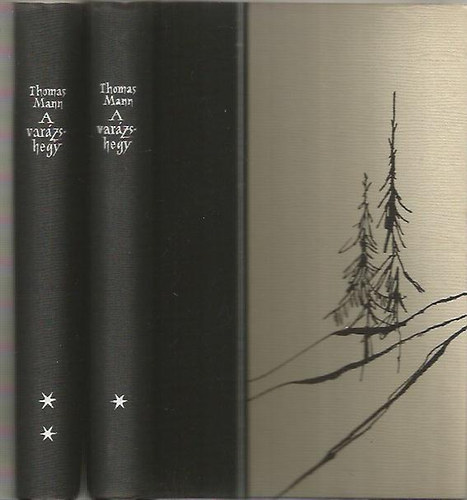 Thomas Mann - A var�zshegy I-II.