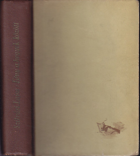 Szilv�si Lajos - F�ny a hegyek k�z�tt - N�gr�di T�rt�net -