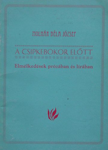 Moln�r B�la J�zsef - A csipkebokor el�tt (Elm�lked�sek pr�z�ban �s l�r�ban)