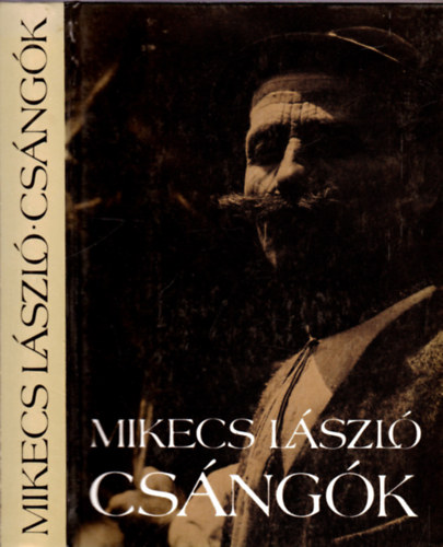 Mikecs Lszl - Csngk (Trkpmellklettel)