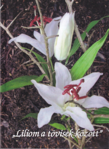 Dr. Tapolyain� Bartha Gizella - Liliom a t�visek k�z�tt