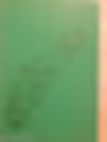 Veress Ferenc - A r�szedett ember