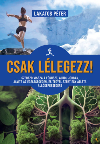 Lakatos Pter - Csak llegezz!