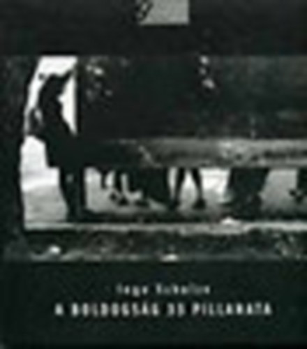 Ingo Schulze - A boldogság 33 pillanata