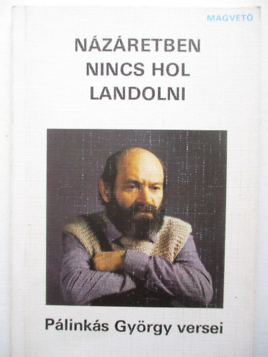 Plinks Gyrgy - Nzretben nincs hol landolni