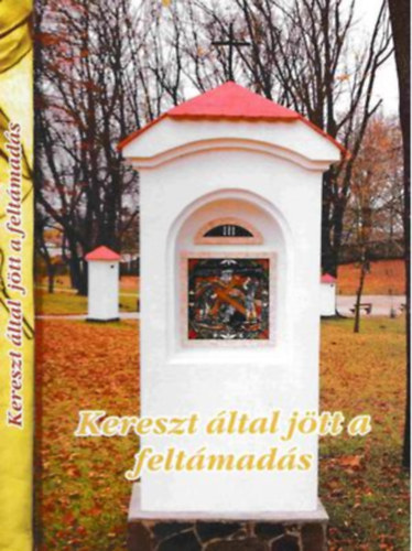 Hanusi Attila Stella Leontin - Kereszt �ltal j�tt a felt�mad�s