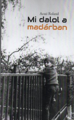 Acsai Roland - Mi dalol a madrban