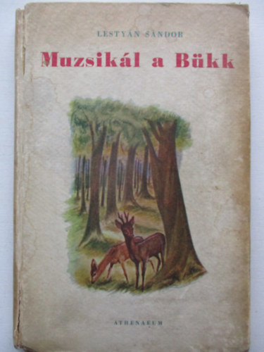 Lestyán Sándor - Muzsikál a Bükk