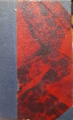 Palágyi Lajos - Magyar állapotok