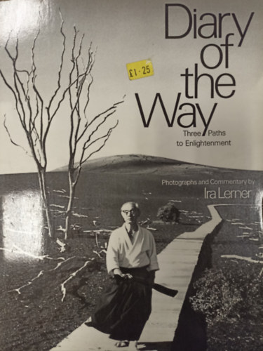 Ira Lerner - Diary of the Way ( Three Paths to Enlightenment )