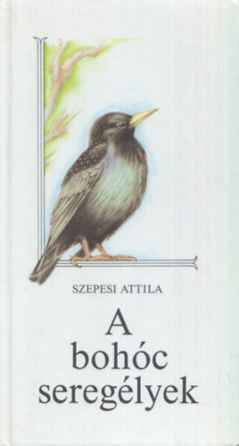 Szepesi Attila - A boh�c sereg�lyek