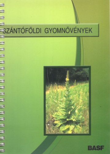 Szántóföldi gyomnövények