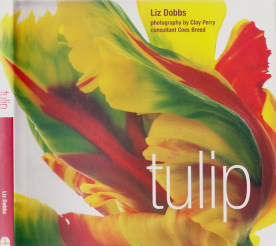 Liz Dobbs - Tulip