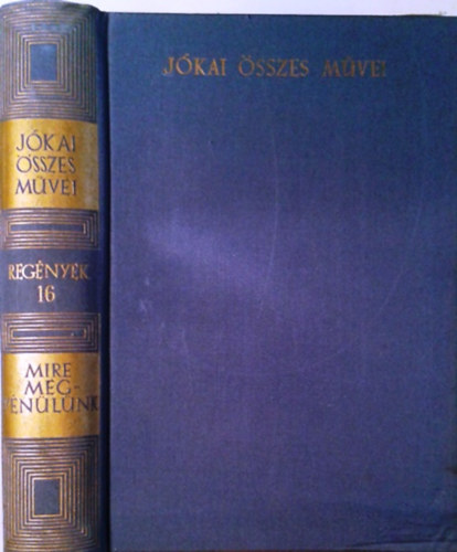 J�kai M�r - Mire megv�n�l�nk (Reg�nyek 16. - kritikai)