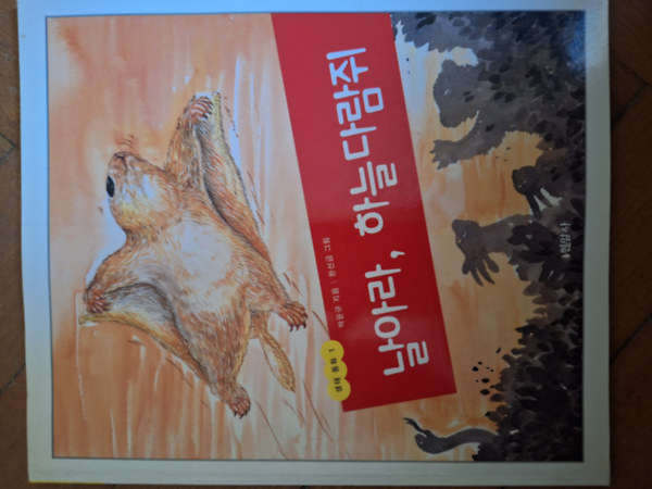 Korea - Repülj repülő mókus