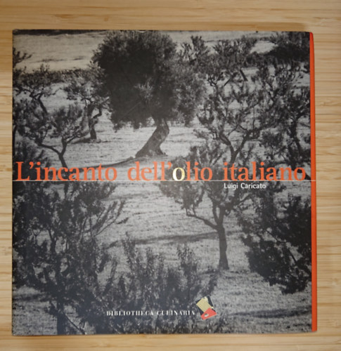 L'incanto dell' olio italiano