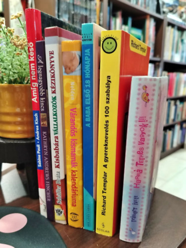 Richard Templar, Anne Yelland, Anette Nolden, Kathryn Andrews Fincher, Pauli, Sabine; Kisch, Andrea, Sch�ffer Be�ta Tr�bert Ivett - K�NYVMENT� AJ�NLAT, 7 DB. Gyermekek �s sz�l�k. Hurr�, terhes vagyok!!! - ."de fr�szt kapok mindenkit�l!", A gyereknevel�s 100 szab�lya,  A baba els� 18 h�napja, V�rand�s kismam�k kalend�riuma, A legnagyobb kincs - az anyai szeretet s