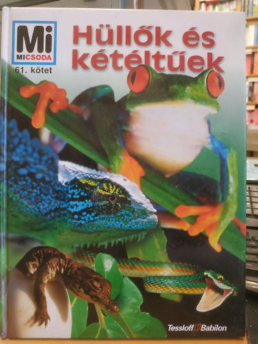Manfred Niekisch - Hüllők és kétéltűek (Mi Micsoda)