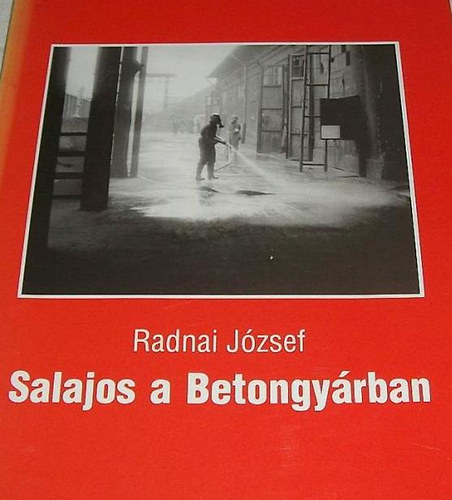 Salajos a betongyrban