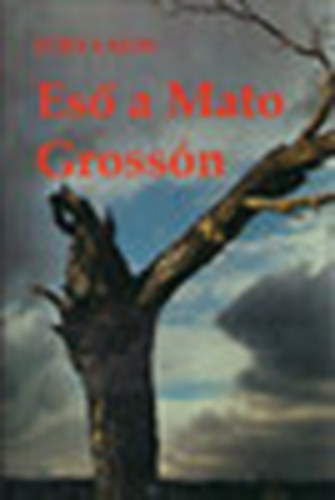 F�ry Lajos - Es� a Mato Gross�n
