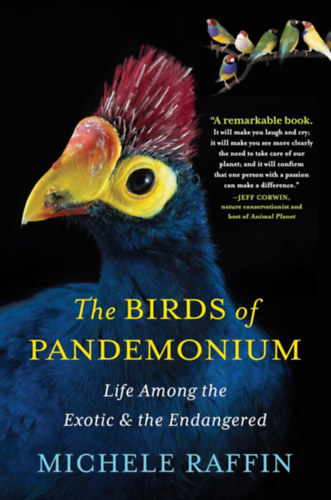 Michele Raffin - The Birds of Pandemonium