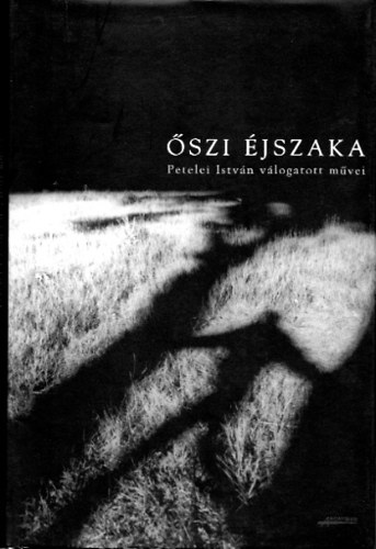 Petelei Istv�n - �szi �jszaka