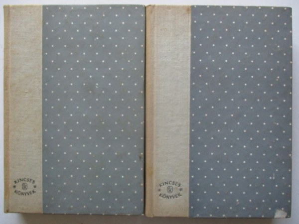 Victor Hugo - A párizsi Notre-Dame I-II.